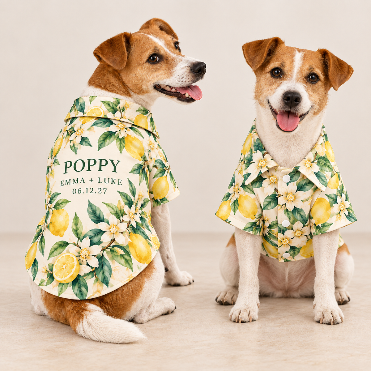 Citrus Welcome Party Pet Hawaiian Shirt; front back overview. One Day for Lifetime