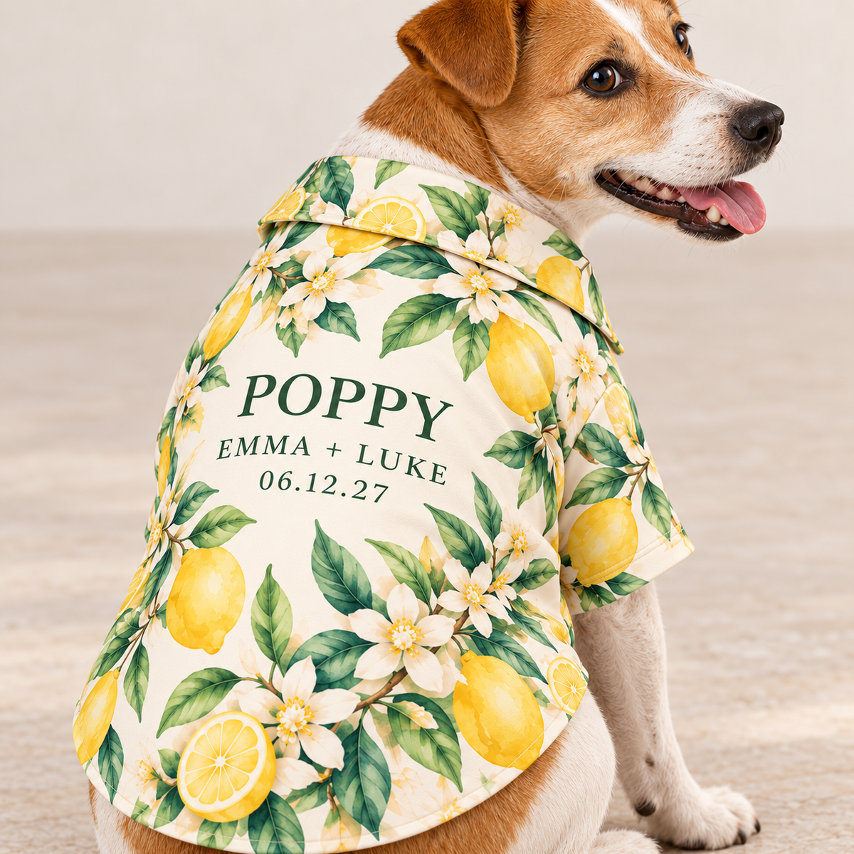 Citrus Welcome Party Pet Hawaiian Shirt; material detail. One Day for Lifetime