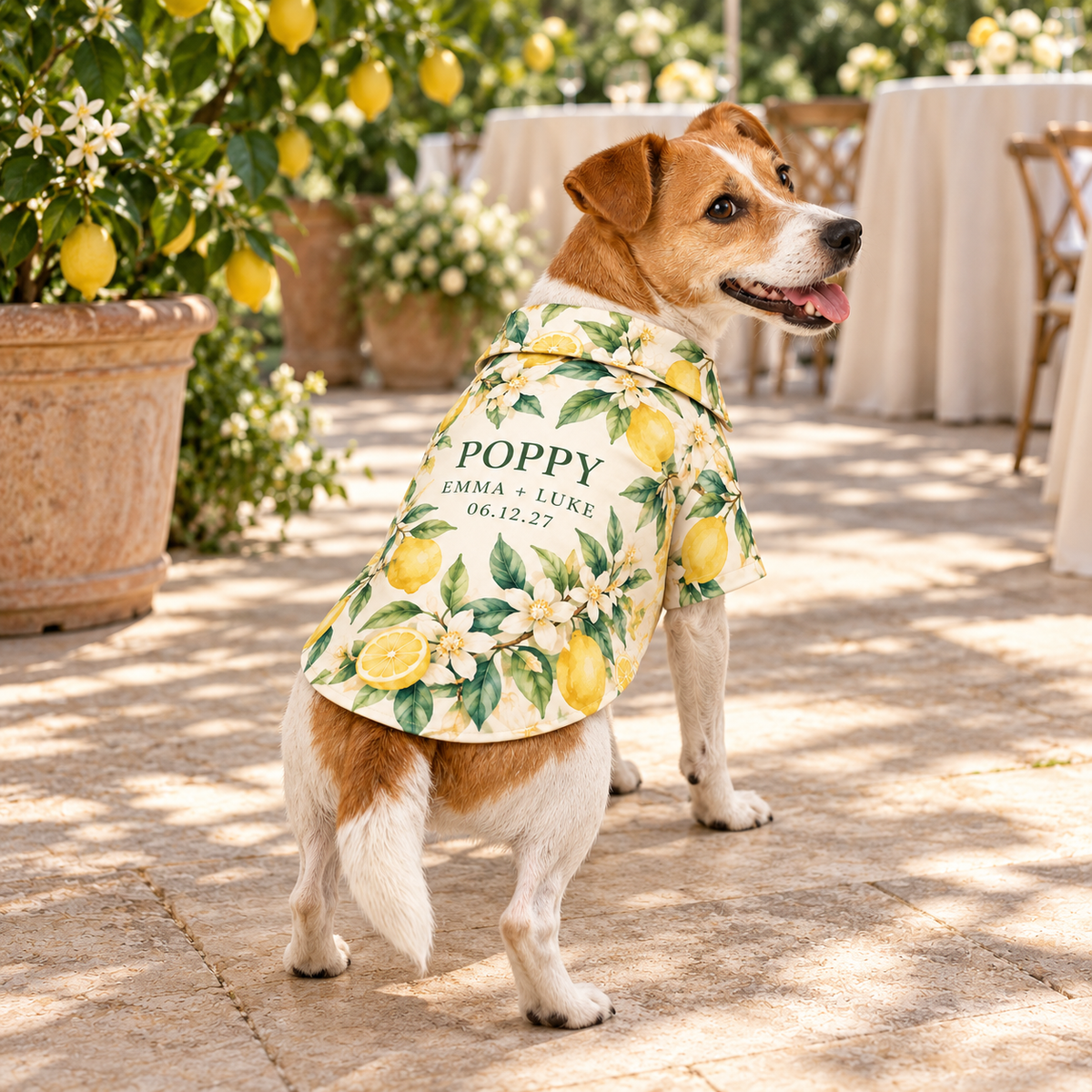 Citrus Welcome Party Pet Hawaiian Shirt; lifestyle context. One Day for Lifetime