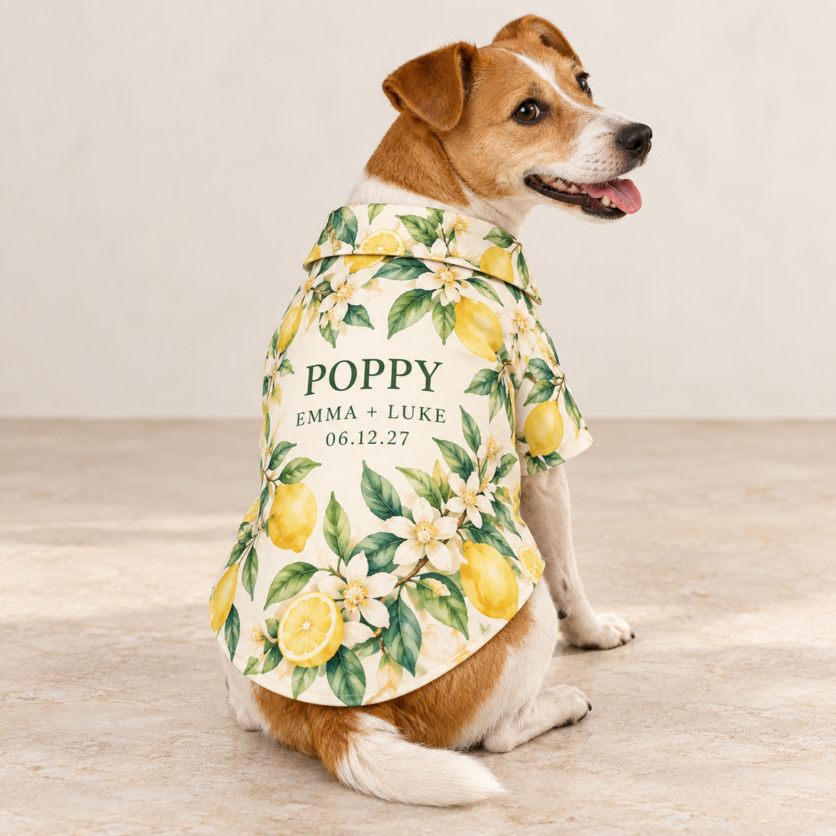Citrus Welcome Party Pet Hawaiian Shirt; hero. One Day for Lifetime