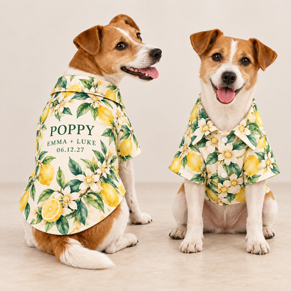 Citrus Welcome Party Pet Hawaiian Shirt; front back overview. One Day for Lifetime